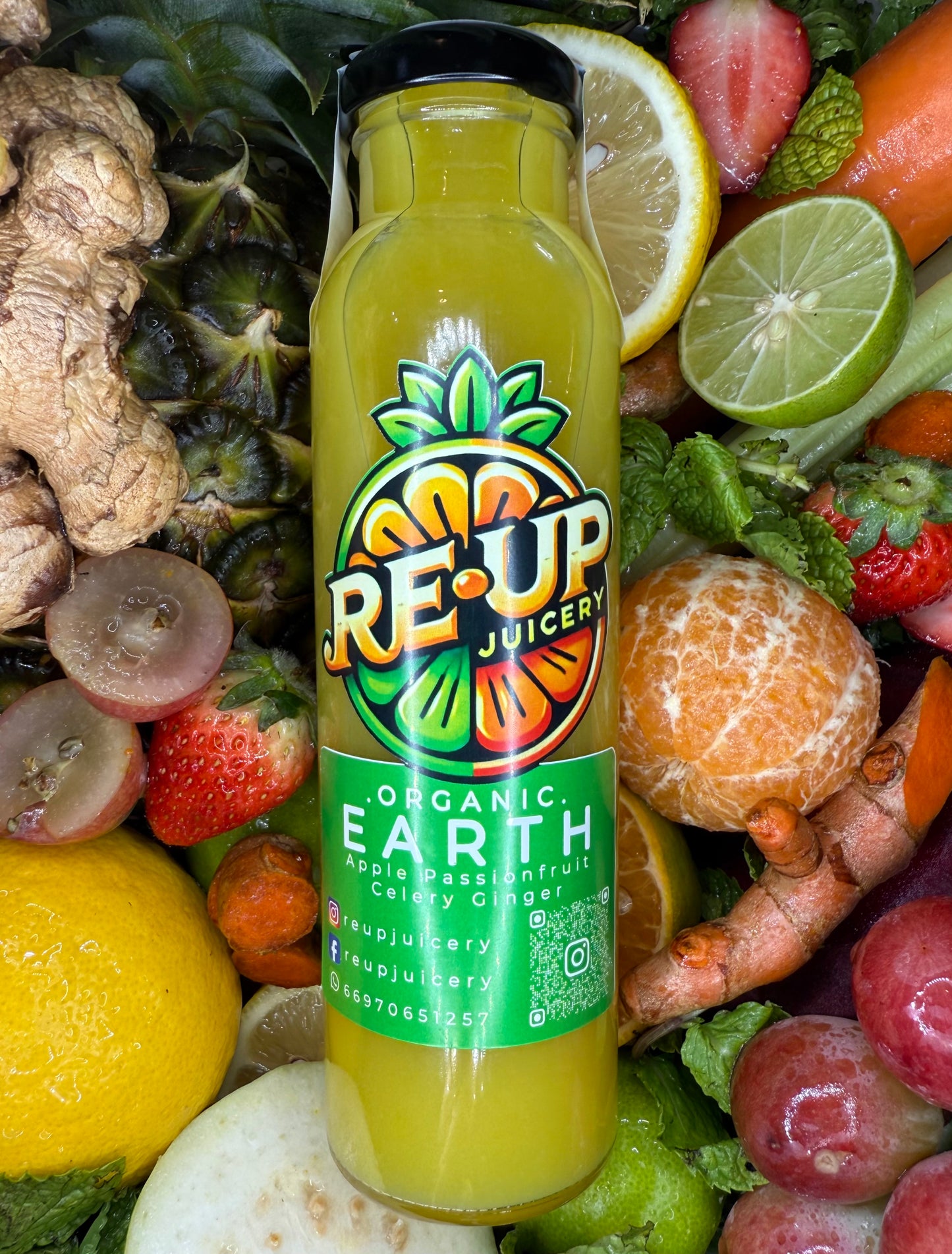 ORGANIC CLOD PRESS | EARTH | GREEN APPLE , PASSION FRUIT , CELERY , GINGER| PURE&RAW